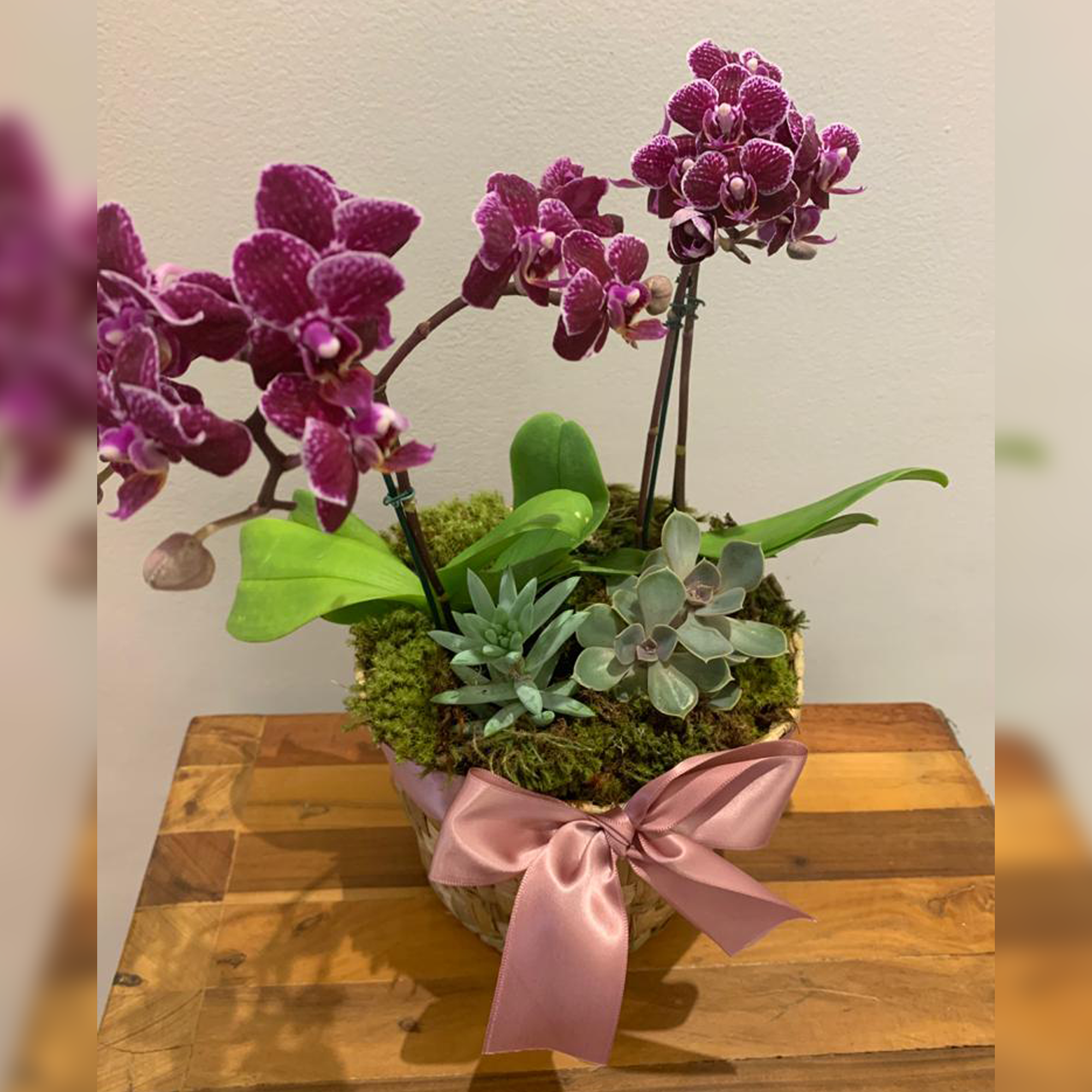 Cesto Mini Orquídeas e Suculentas – roseeventos