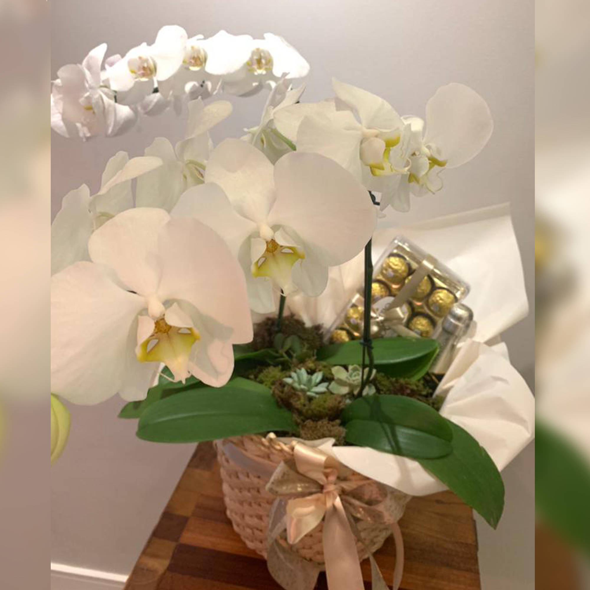 Cesto em Palha com Orquídeas e Suculentas, Ferrero e Chandon – roseeventos